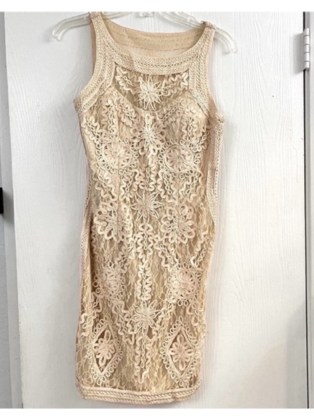 Cinderella Divine Sleeveless Lace Sheath Dress in Beige Size XS
